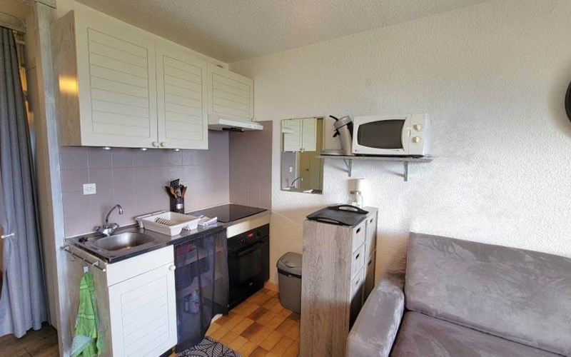 CHARDONS BLEUS Location CHARDONS BLEUS à ST MICHEL DE CHAILLOL