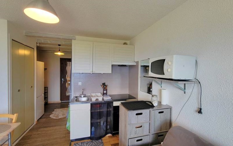 CHARDONS BLEUS Location CHARDONS BLEUS à ST MICHEL DE CHAILLOL