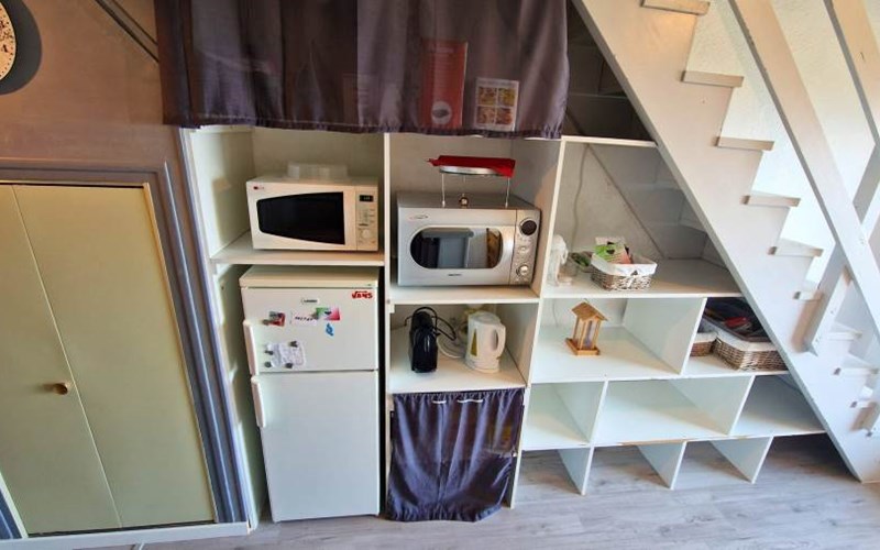 CHARDONS BLEUS Location CHARDONS BLEUS à ST MICHEL DE CHAILLOL