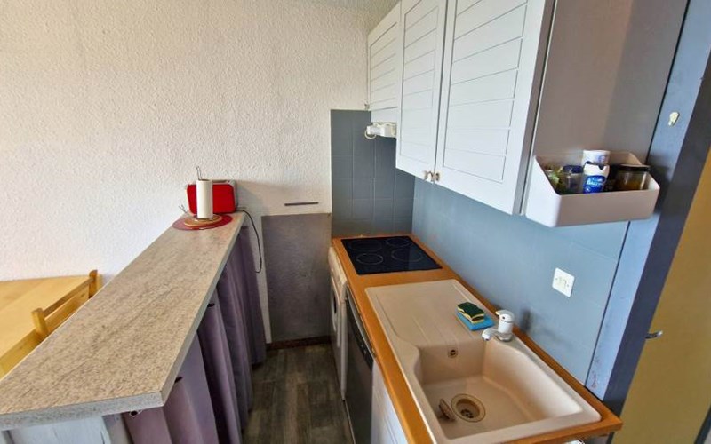 CHARDONS BLEUS Location CHARDONS BLEUS à ST MICHEL DE CHAILLOL