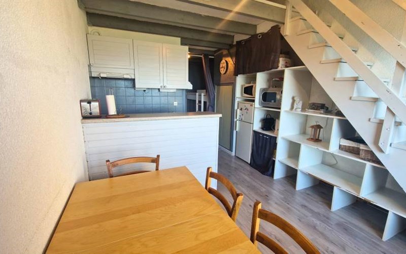 CHARDONS BLEUS Location CHARDONS BLEUS à ST MICHEL DE CHAILLOL