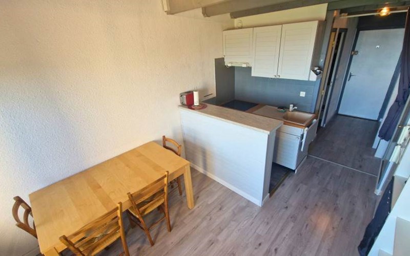 CHARDONS BLEUS Location CHARDONS BLEUS à ST MICHEL DE CHAILLOL