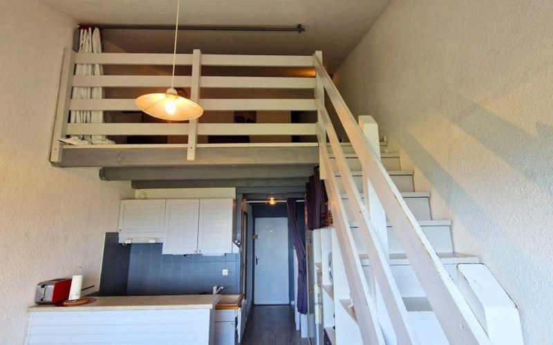 CHARDONS BLEUS Location CHARDONS BLEUS à ST MICHEL DE CHAILLOL