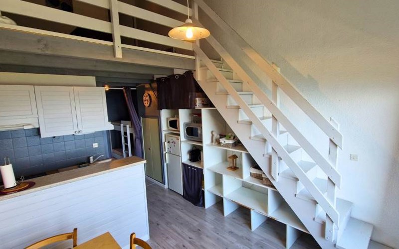 CHARDONS BLEUS Location CHARDONS BLEUS à ST MICHEL DE CHAILLOL