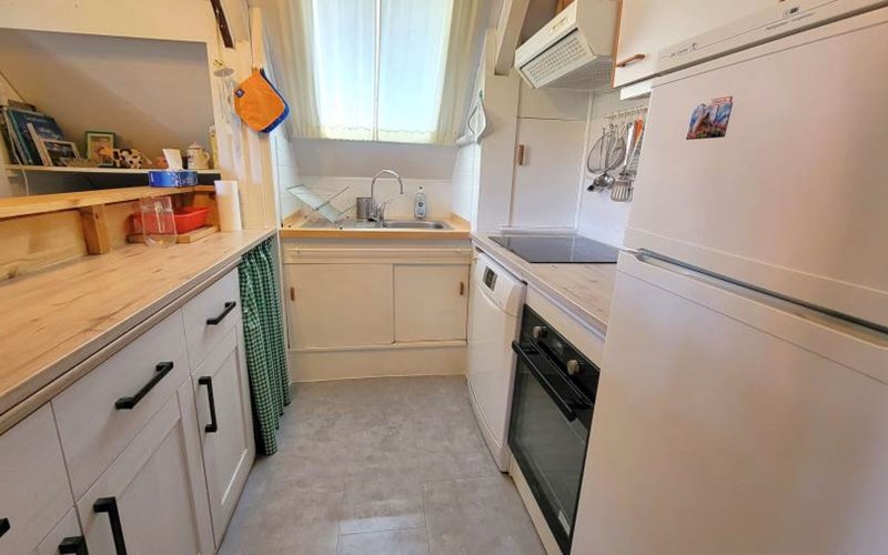 Chalet Les 101 Dalmatiens Location Chalet Les 101 Dalmatiens à ST MICHEL DE CHAILLOL