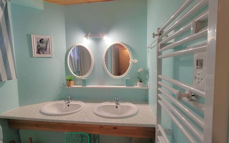 Chalet Les 101 Dalmatiens Location Chalet Les 101 Dalmatiens à ST MICHEL DE CHAILLOL