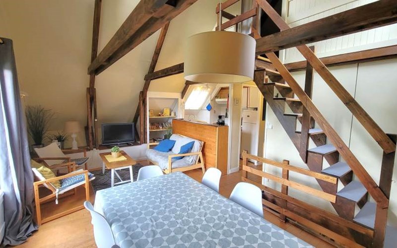 Chalet Les 101 Dalmatiens Location Chalet Les 101 Dalmatiens à ST MICHEL DE CHAILLOL