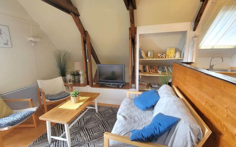 Chalet Les 101 Dalmatiens Location Chalet Les 101 Dalmatiens à ST MICHEL DE CHAILLOL