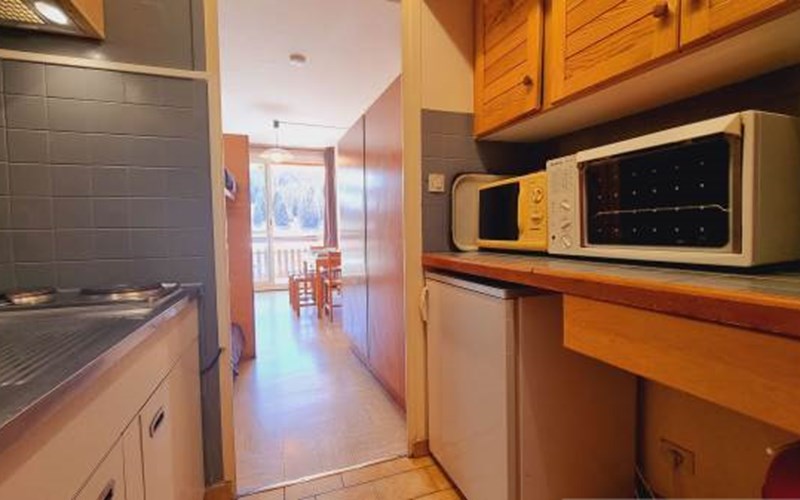 BOIS D'AUROUZE OBIOU Location BOIS D'AUROUZE OBIOU à SUPERDEVOLUY