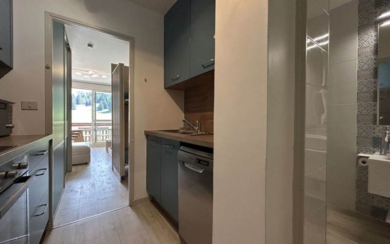 BOIS D'AUROUZE OBIOU Location BOIS D'AUROUZE OBIOU à SUPERDEVOLUY