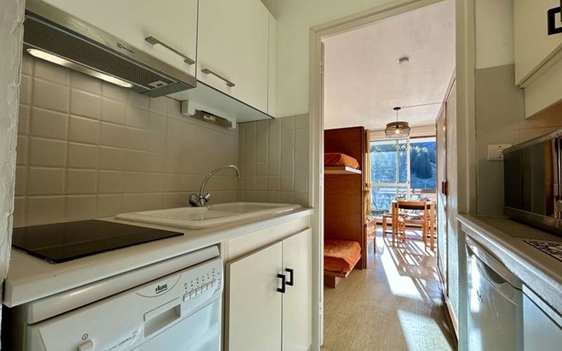 BOIS D'AUROUZE PUY Location BOIS D'AUROUZE PUY à SUPERDEVOLUY