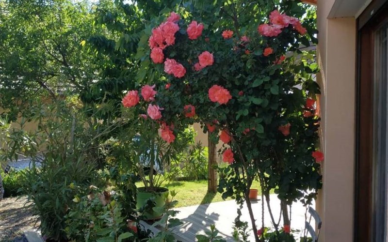 MAIS PREVERT  Location MAIS PREVERT  à CHORGES