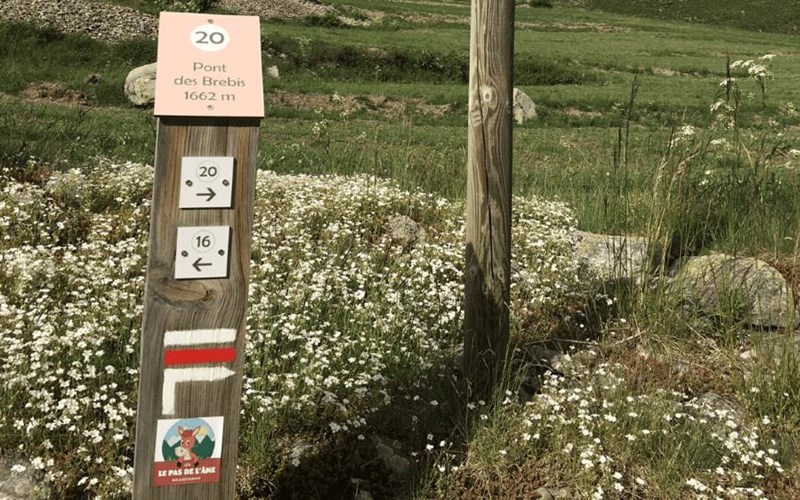 GITE LE PAS DE L'ANE Location GITE LE PAS DE L'ANE à VILLAR D ARENE