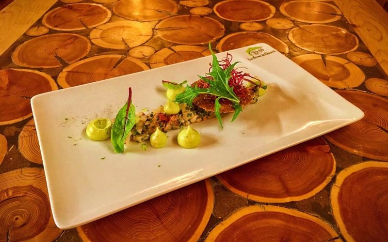 Logis Hôtel & SPA la Ferme de l'Izoard Location Logis Hôtel & SPA la Ferme de l'Izoard à ARVIEUX