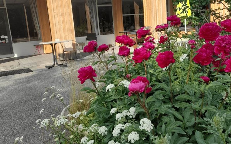 Hôtel la Cremaillère Location Hôtel la Cremaillère à ST BONNET EN CHAMPSAUR