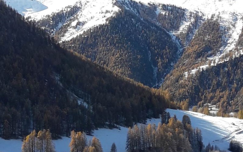 Appartement 3 personnes - Les Cimes n°21 Location Appartement 3 personnes - Les Cimes n°21 à MOLINES EN QUEYRAS