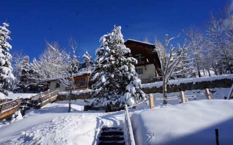 Appartement 4 personnes - Les Soldanelles Gentiane Location Appartement 4 personnes - Les Soldanelles Gentiane à ST VERAN