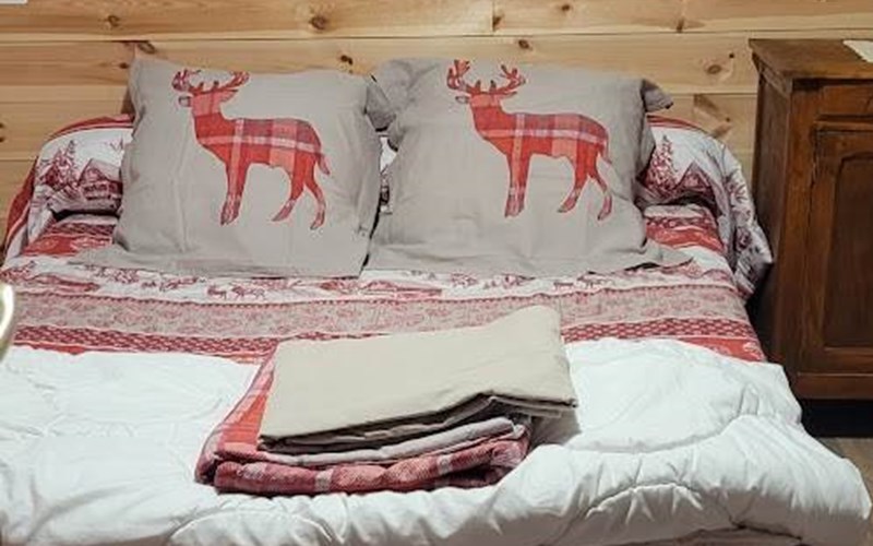 Chalet individuel 12 personnes - Aigue Agnelle Location Chalet individuel 12 personnes - Aigue Agnelle à MOLINES EN QUEYRAS