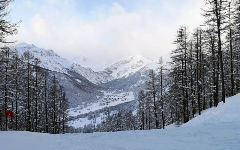 Appartement  4 personnes - Les Granges d'Arvieux n° 304 -  Le Lynx Location Appartement  4 personnes - Les Granges d'Arvieux n° 304 -  Le Lynx à ARVIEUX