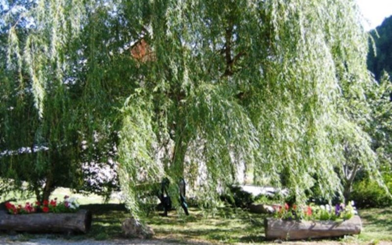 Studio 2 personnes Location Studio 2 personnes à ARVIEUX