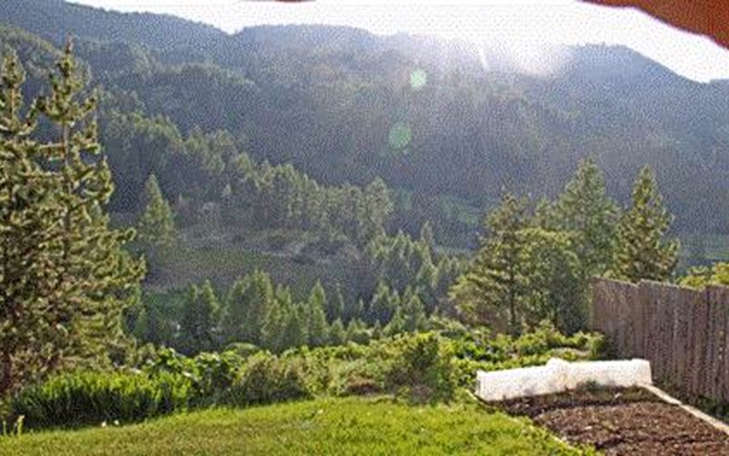 Appartement 5 personnes - Nids D'Estelas Location Appartement 5 personnes - Nids D'Estelas à MOLINES EN QUEYRAS