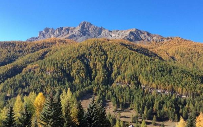 Appartement 4 personnes - La Cardabelle Location Appartement 4 personnes - La Cardabelle à MOLINES EN QUEYRAS