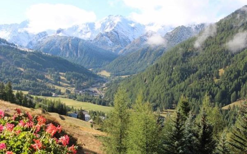 Appartement 4 personnes - La Cardabelle Location Appartement 4 personnes - La Cardabelle à MOLINES EN QUEYRAS