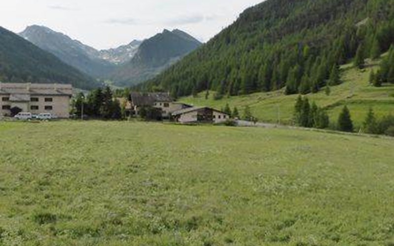 Appartement 4 personnes - Pervenche Location Appartement 4 personnes - Pervenche à CEILLAC