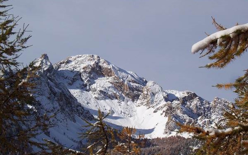 Appartement 8 personnes - Colchique Location Appartement 8 personnes - Colchique à CEILLAC