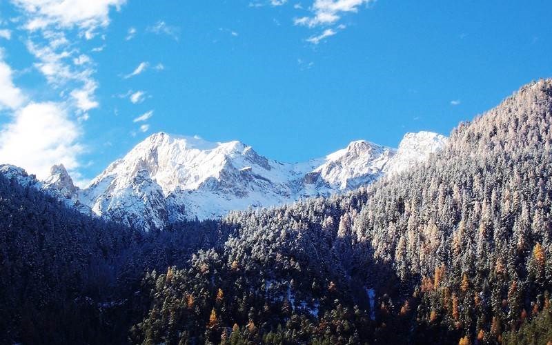 Appartement 6 personnes - Le Tétras Location Appartement 6 personnes - Le Tétras à CEILLAC