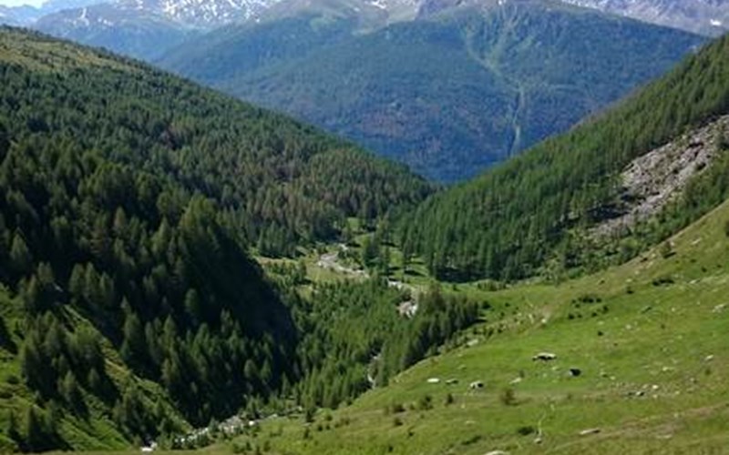 Appartement 6 personnes - Le Sanglier galant Location Appartement 6 personnes - Le Sanglier galant à ABRIES