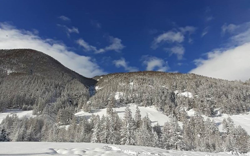 Appartement 4 personnes - Les Chazalets n°1 Location Appartement 4 personnes - Les Chazalets n°1 à ABRIES