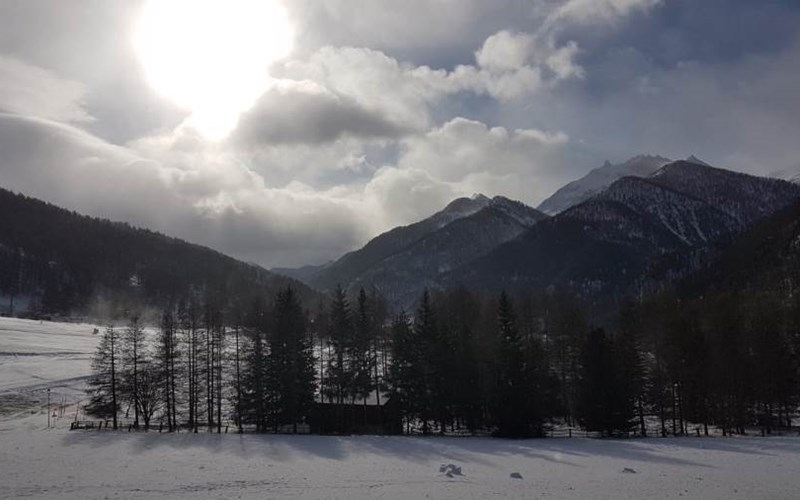 Appartement 6 personnes - Les Granges d'Arvieux n°311 Location Appartement 6 personnes - Les Granges d'Arvieux n°311 à ARVIEUX