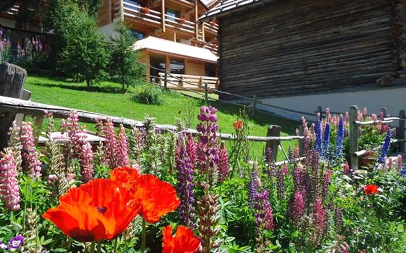 Appartement 4 personnes Location Appartement 4 personnes à ST VERAN