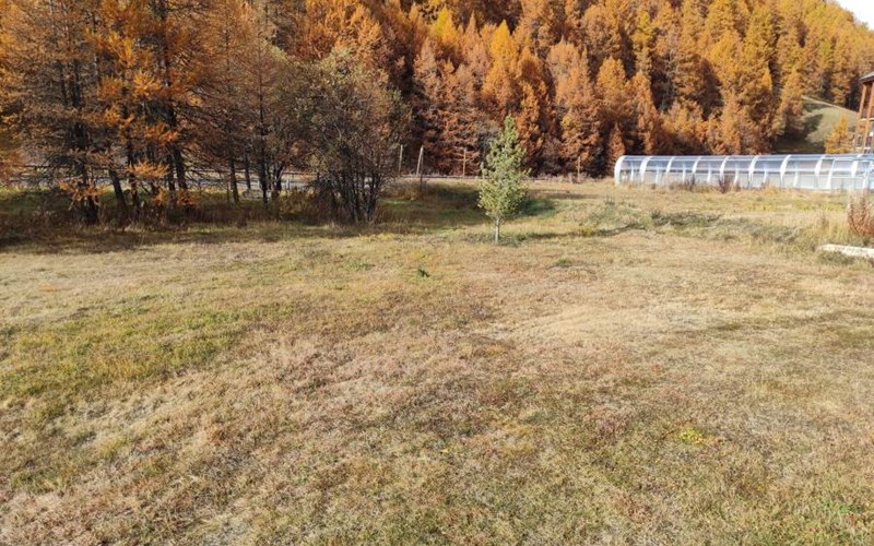 Appartement 5 personnes - Chalet les 4 saisons n° 6 Location Appartement 5 personnes - Chalet les 4 saisons n° 6 à MOLINES EN QUEYRAS