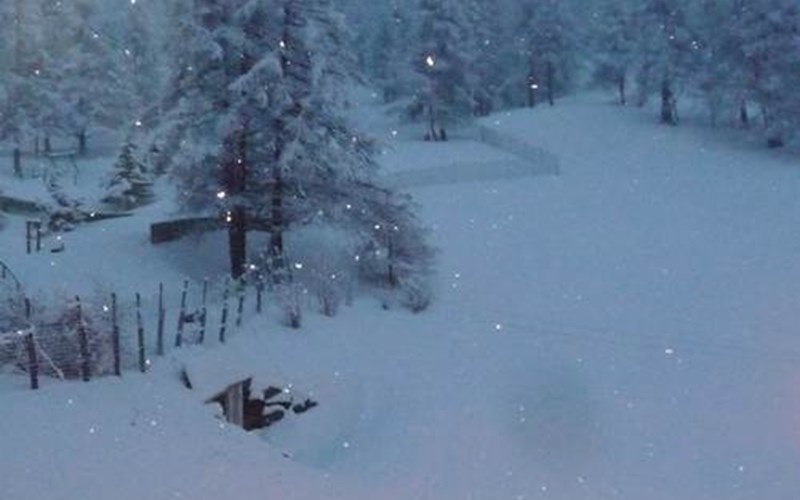 Studio Cabine 4  personnes Chabrières 2 44 Location Studio Cabine 4  personnes Chabrières 2 44 à RISOUL