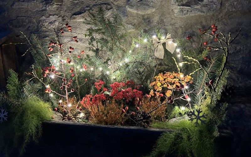 Loft 10 personnes dans chalet de luxe Location Loft 10 personnes dans chalet de luxe à RISOUL