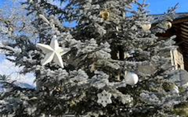 Loft 10 personnes dans chalet de luxe Location Loft 10 personnes dans chalet de luxe à RISOUL