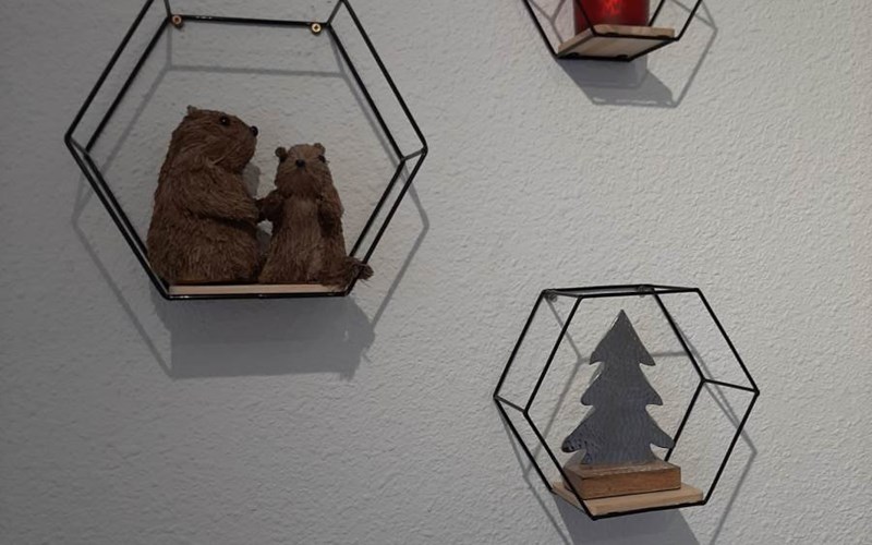 Studio Cabine 4 personnes Orée du Bois B 311 Location Studio Cabine 4 personnes Orée du Bois B 311 à RISOUL