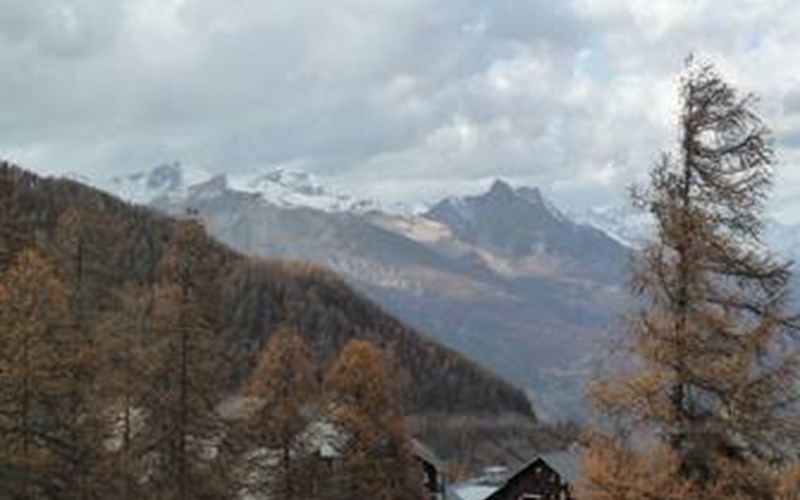 Appartement 2 pièces 5 personnes Orée du Bois A 721 Location Appartement 2 pièces 5 personnes Orée du Bois A 721 à RISOUL