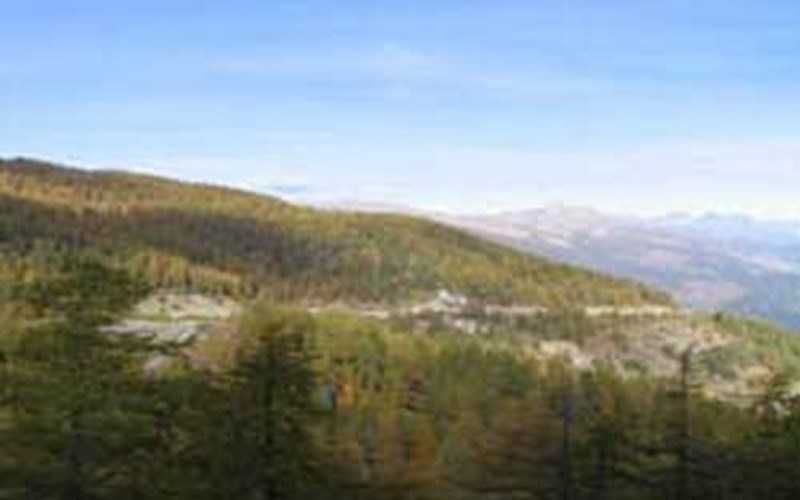 Studio cabine 4 personnes Airelles B 14 Location Studio cabine 4 personnes Airelles B 14 à RISOUL