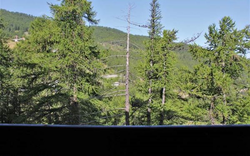 Studio 4 personnes Belvédère 312 Location Studio 4 personnes Belvédère 312 à RISOUL