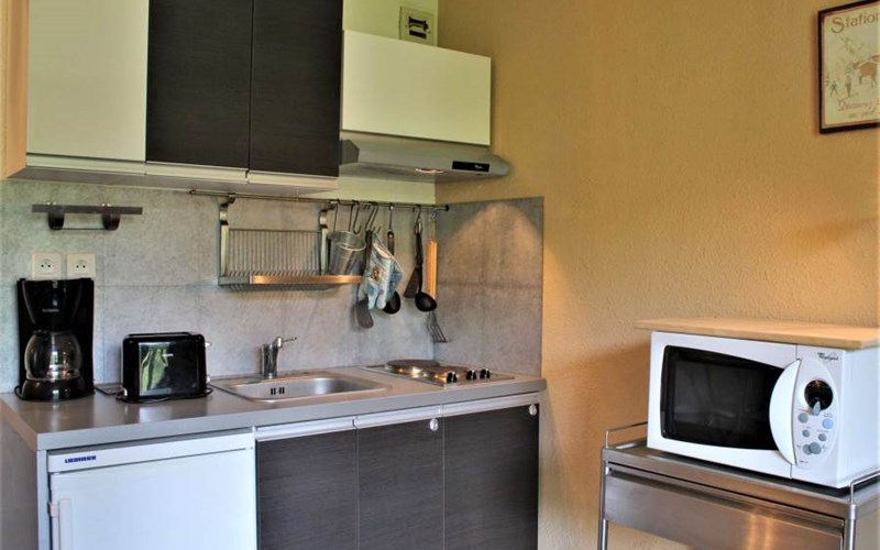 CHAMOIS RSL350-311 - Appt 2 pièces Location CHAMOIS RSL350-311 - Appt 2 pièces à RISOUL