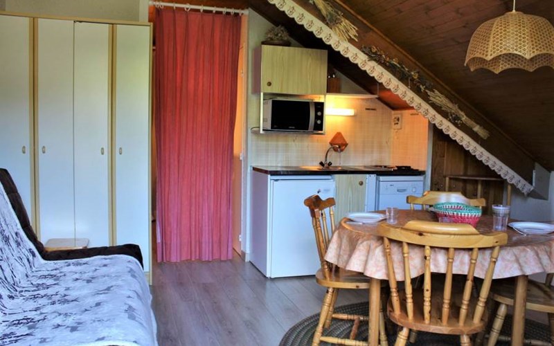 CHAMOIS RSL350-67 - Appt Studio Location CHAMOIS RSL350-67 - Appt Studio à RISOUL