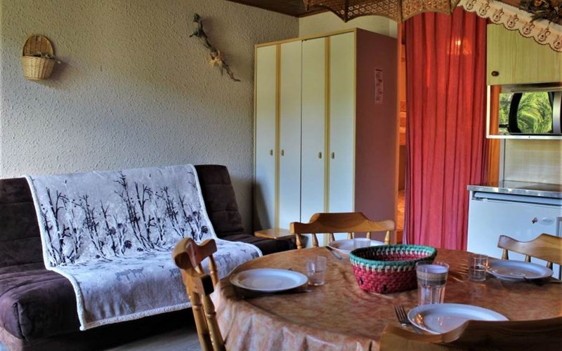 CHAMOIS RSL350-67 - Appt Studio Location CHAMOIS RSL350-67 - Appt Studio à RISOUL