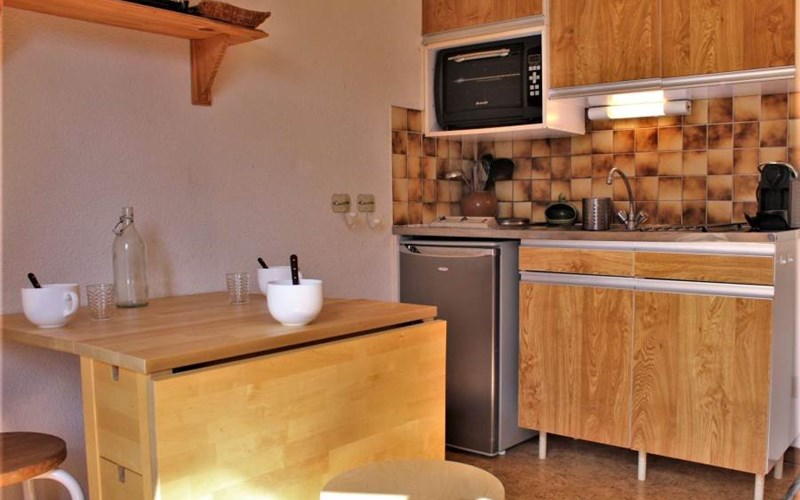 CLEMATITES D RSL330-412D - Appt Studio Location CLEMATITES D RSL330-412D - Appt Studio à RISOUL