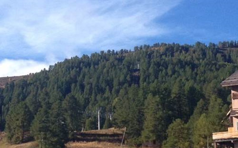 Studio 4 personnes Edelweiss 18A Location Studio 4 personnes Edelweiss 18A à RISOUL