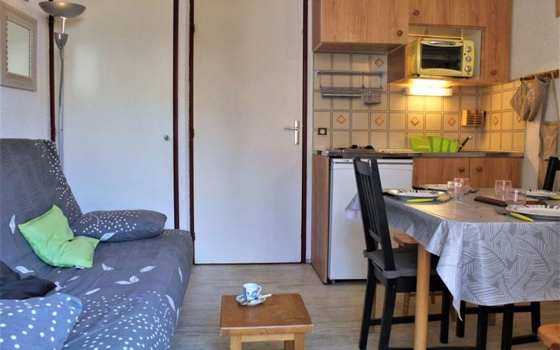 EDELWEISS A RSL210-54A - Appt Studio Location EDELWEISS A RSL210-54A - Appt Studio à RISOUL