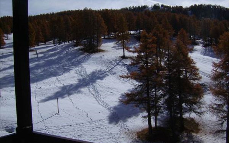 FLORINS II RSL120-53II - Appt 2 pièces Location FLORINS II RSL120-53II - Appt 2 pièces à RISOUL