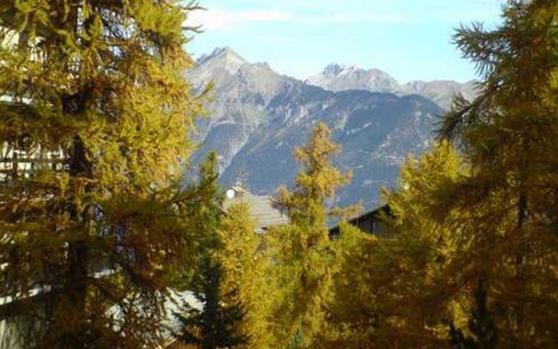 Studio 4 personnes Orée du Bois 217 A Location Studio 4 personnes Orée du Bois 217 A à RISOUL